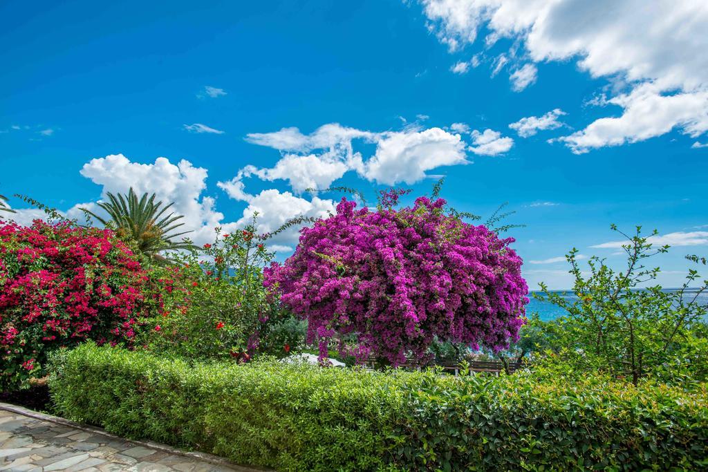 Douka Sea Front Residencies Apartment